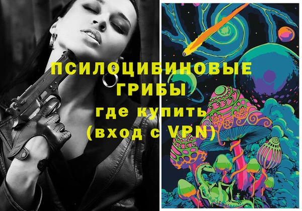 PSILOCYBIN Волоколамск